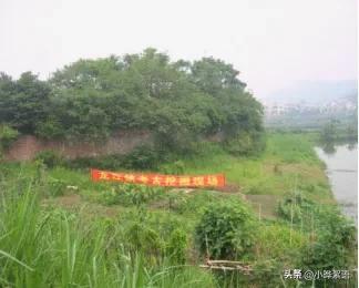 《寻味顺德》校本课程第二课