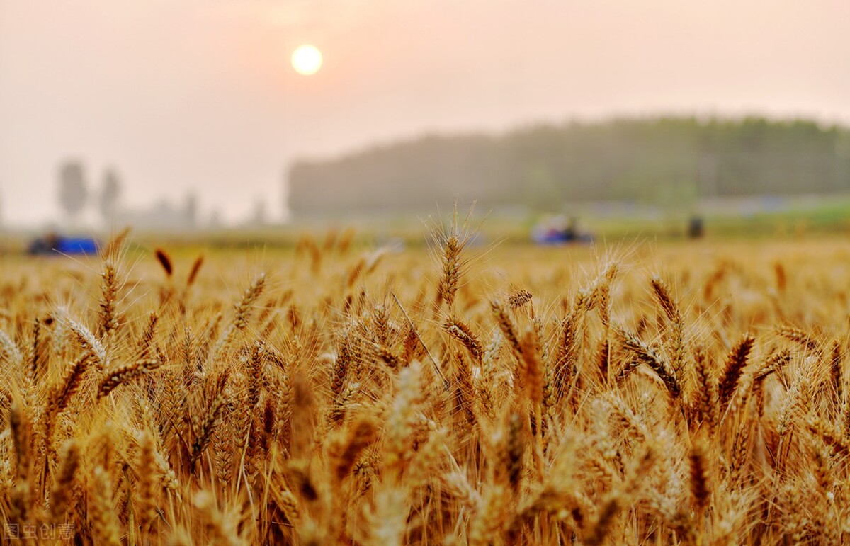 夜晚，女孩捂着脚不敢出声，男子掰开她的手后没有再做丝毫的犹豫
