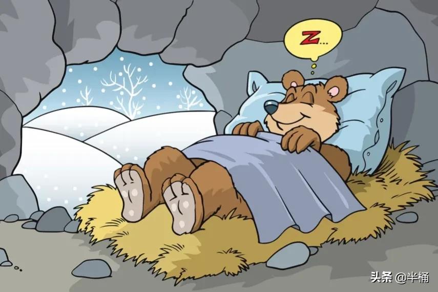 熊冬眠被挖出来,熊冬眠后被人吵醒了还会继续睡吗