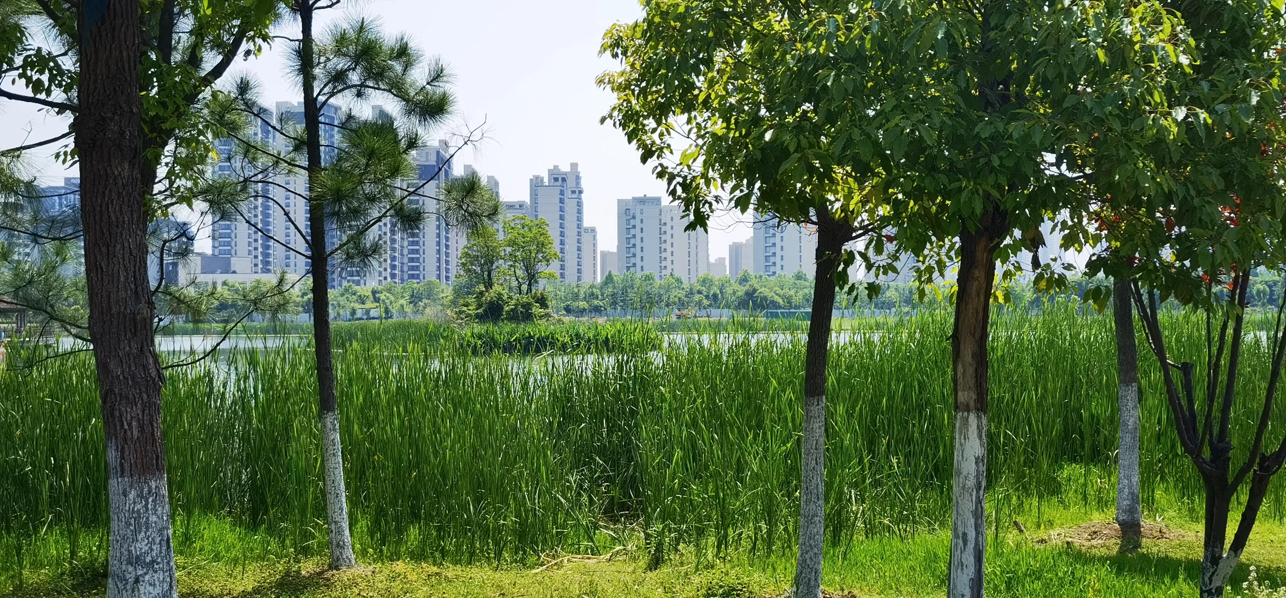 合肥晚上带娃好去处,合肥附近带两个娃去哪里玩