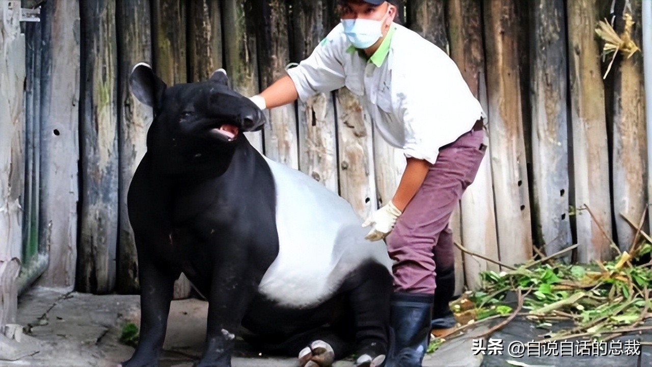 美洲发现中国古文字,美洲发现大银矿