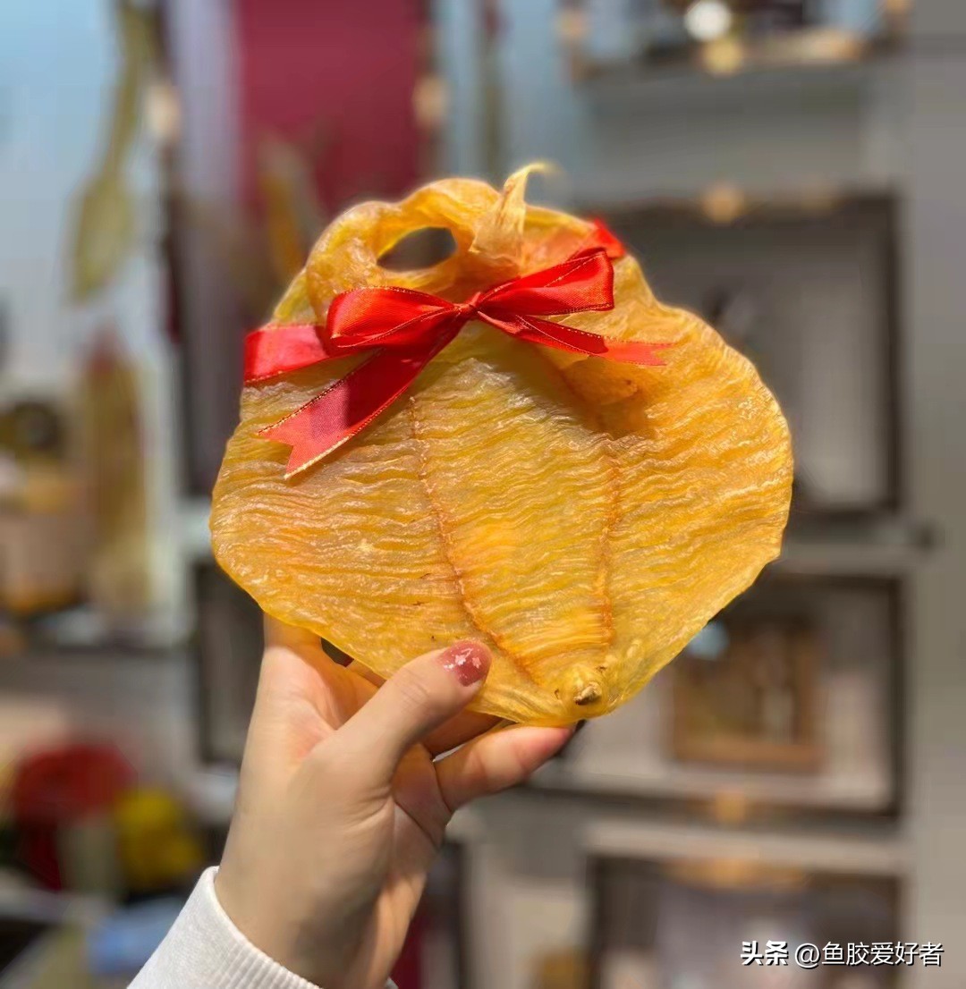 鱼胶主要是哪个国家,鱼胶产地在什么地方产的最好