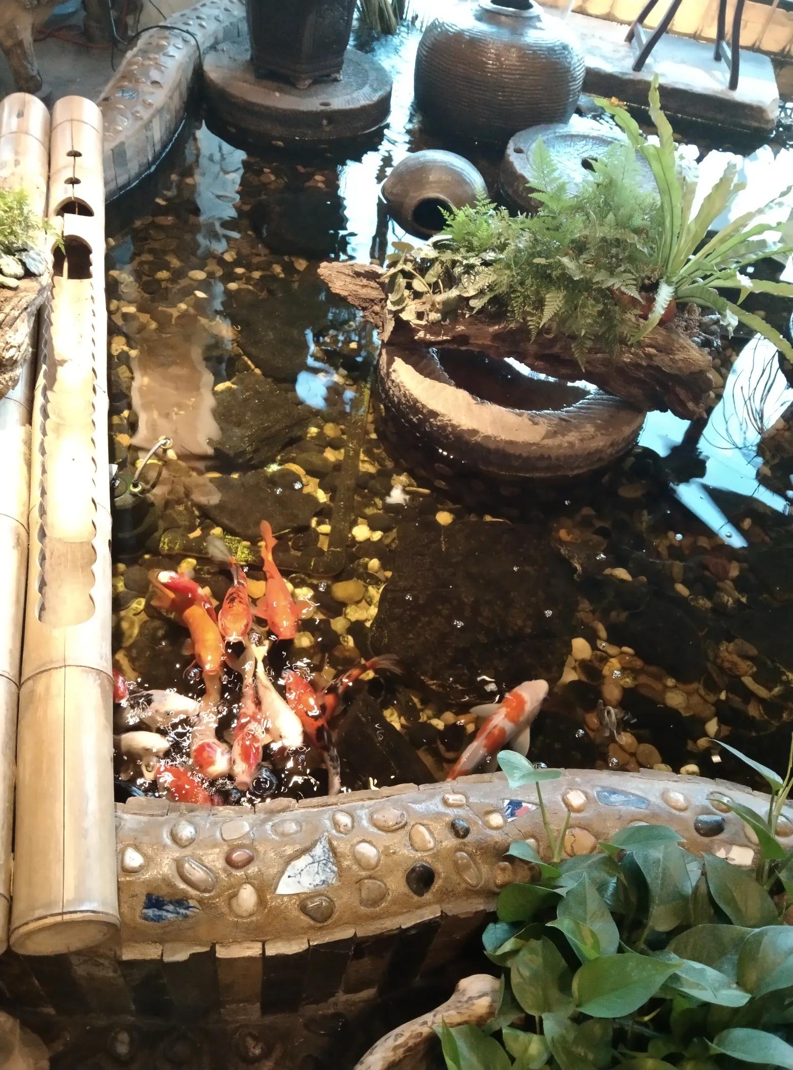 薇薇相约四季,相约四季原创