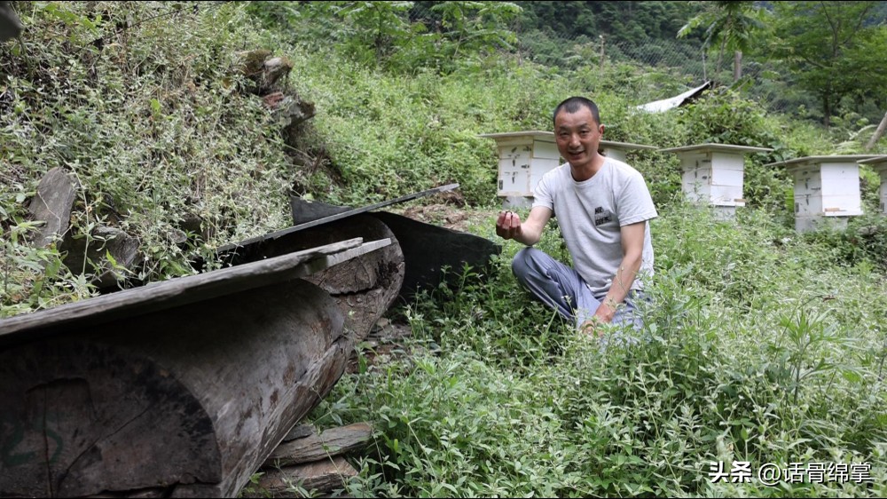 六五环境日关爱自然图片,六五环境日是什么