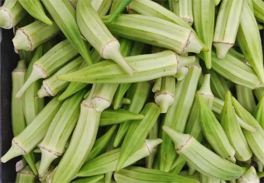 记住在哪里跌倒就要在哪里爬起来,在哪里跌倒就要在哪里再跌倒一次