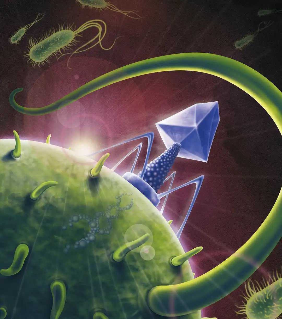 史钧《进击的病毒》|地球上如果没有病毒，人类会更好吗？