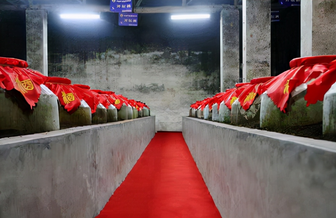 北京青龙坊酒业助力琴澳珠海队成功闯入2021中冠决赛全国八强