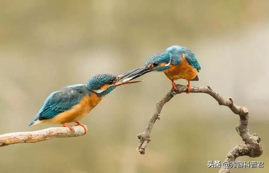 *拍偷**的夫妻生活照，羞羞的