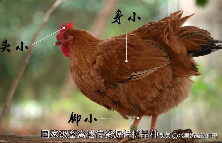 中国各地有名的特产是什么,中国各省市的著名特产