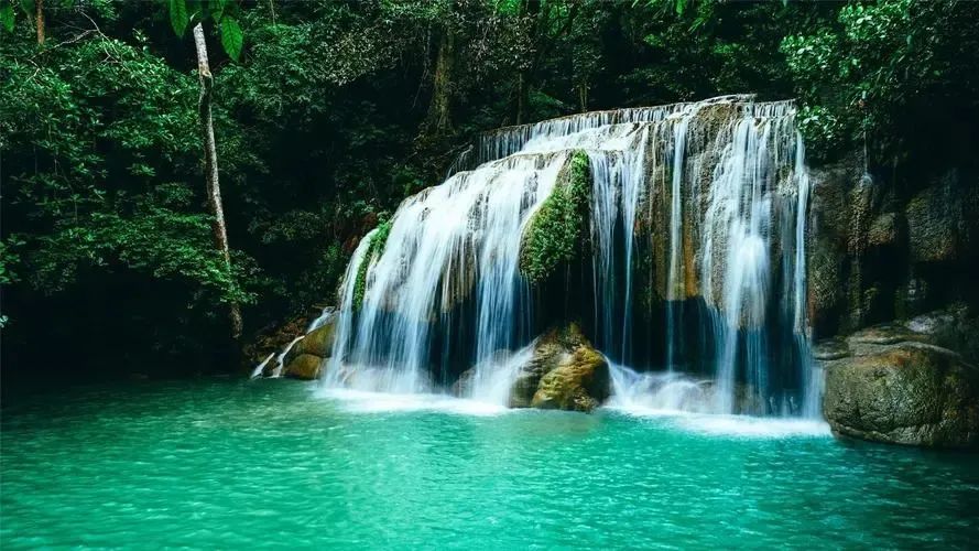 我的乐园期末作文,我的乐园作文四年级300-400字范文