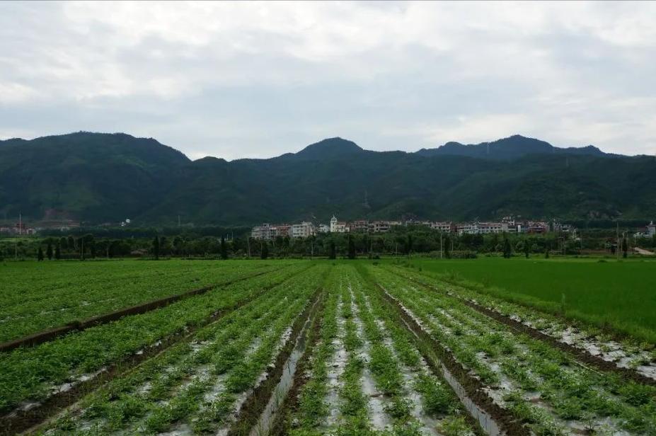 浙江这10个绝美古村,浙江江山最美古村落