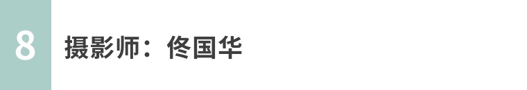 昆虫摄影艺术展,昆虫世界摄影欣赏