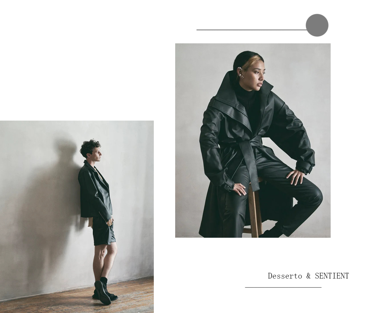 海军蓝配绿色皮革,贝壳头绿色皮革