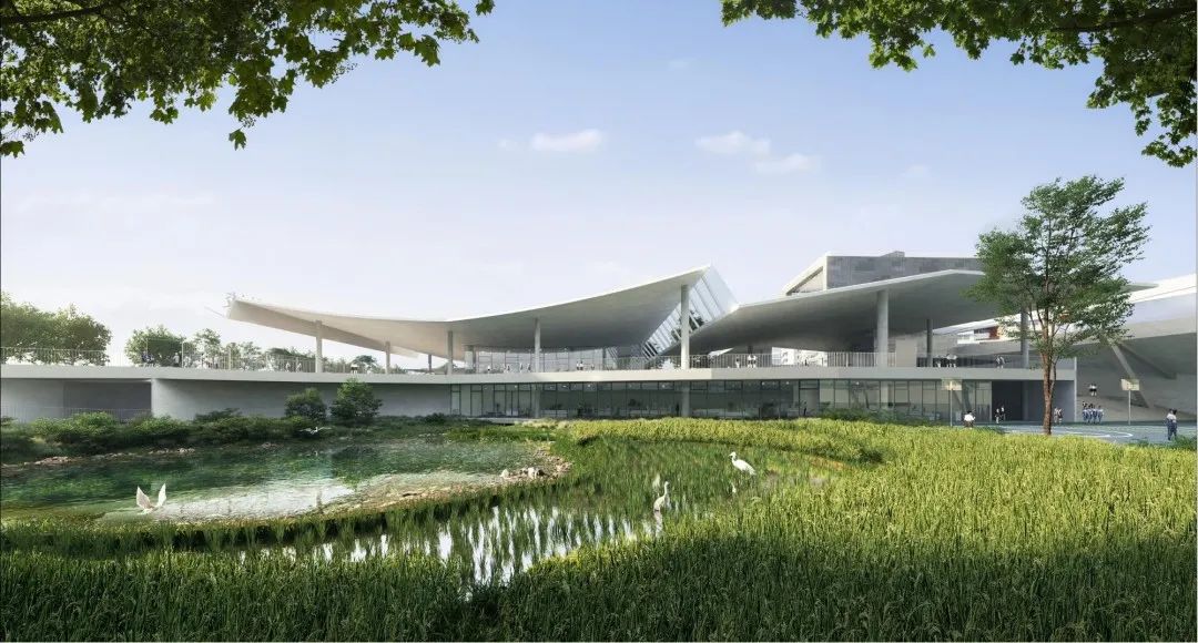 又增长！高考特控上线率高达85.13%！科学城做对了什么？