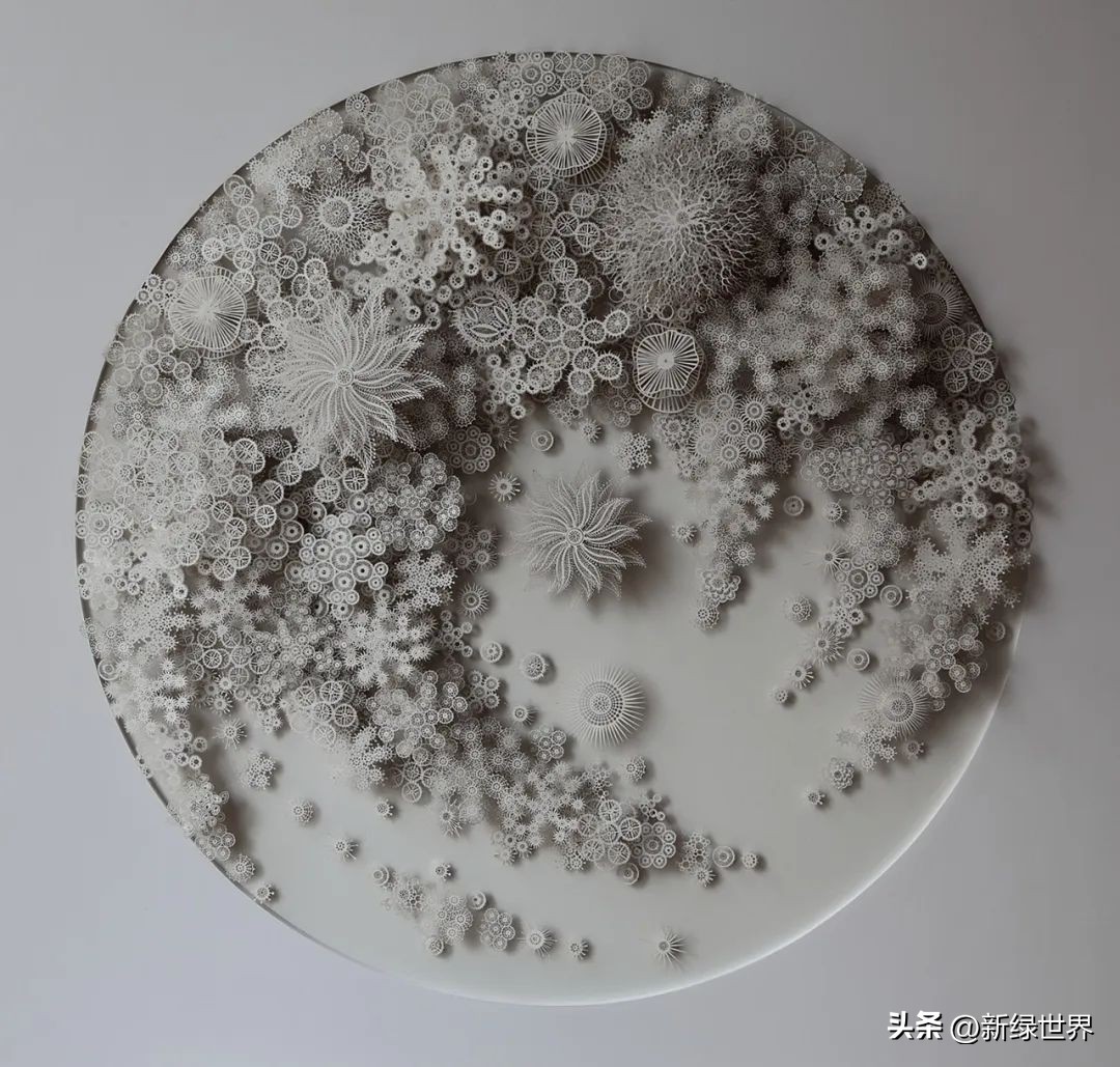 纸艺作品绘画,千变万化的纸艺术作品