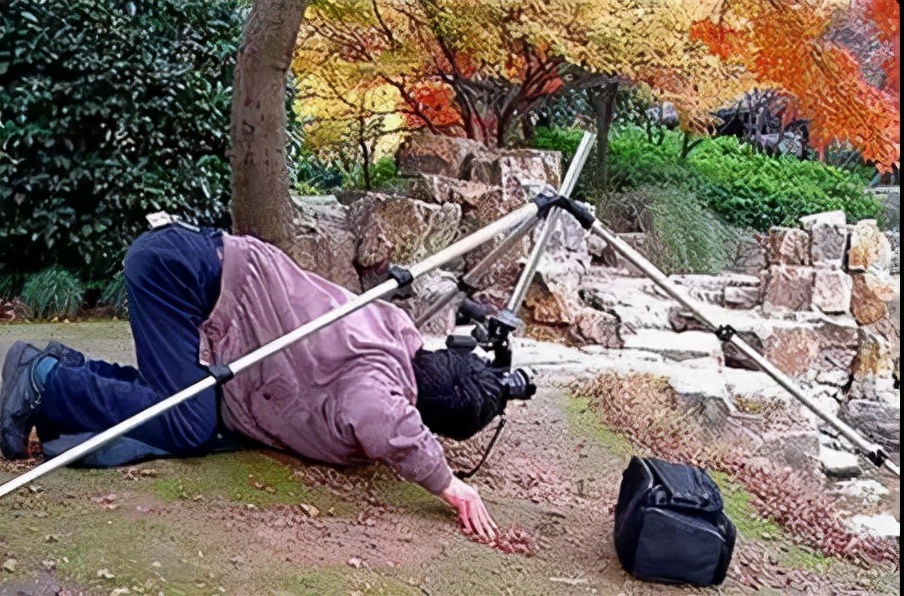 钟奋生每日精彩分享,钟奋生今日头条