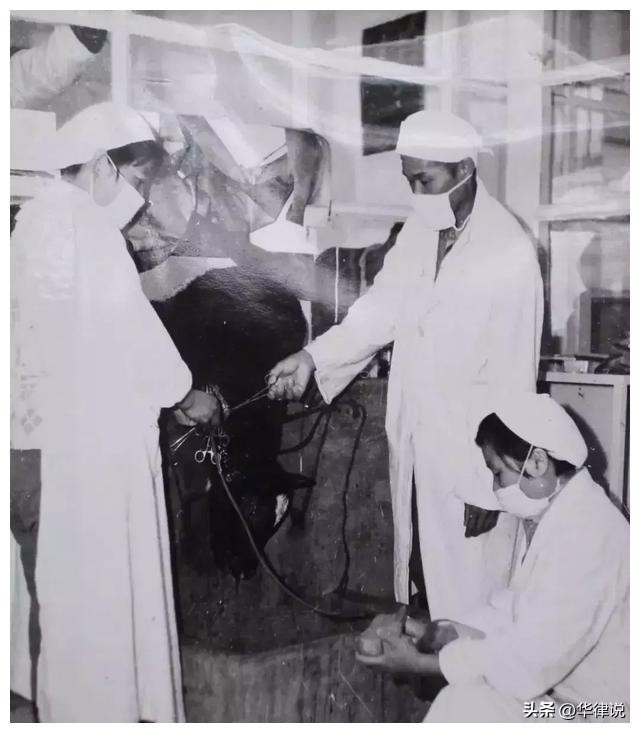 1959年，男子故意支走妻子，把“有毒”液体倒入年仅一岁儿子嘴里