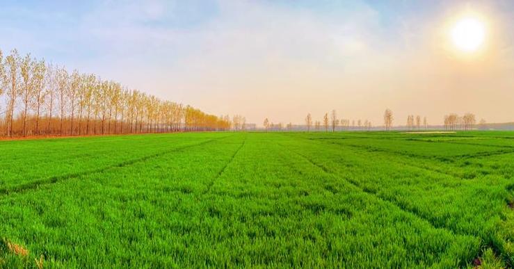 个人小型家庭农场经营模式,家庭农场最佳经营模式