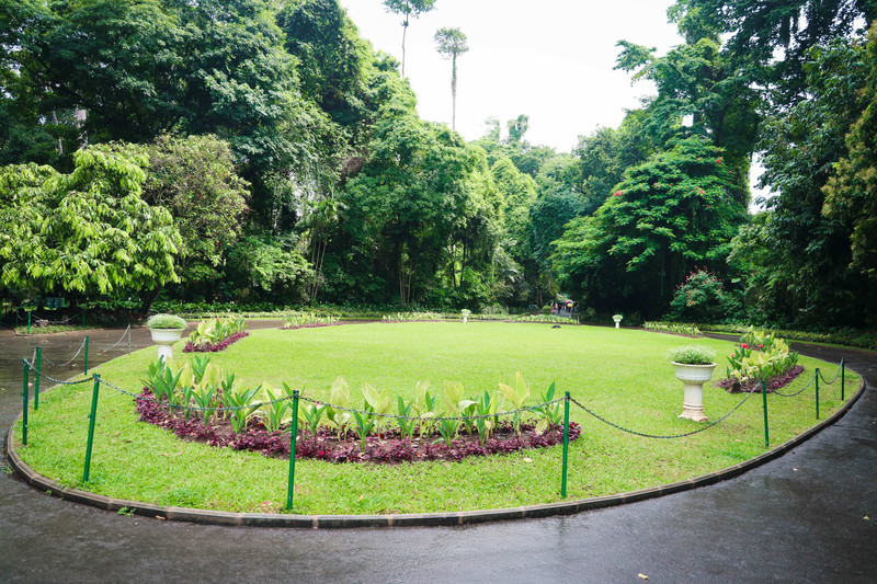 斯里兰卡旅游攻略必去景点,斯里兰卡最佳旅游攻略