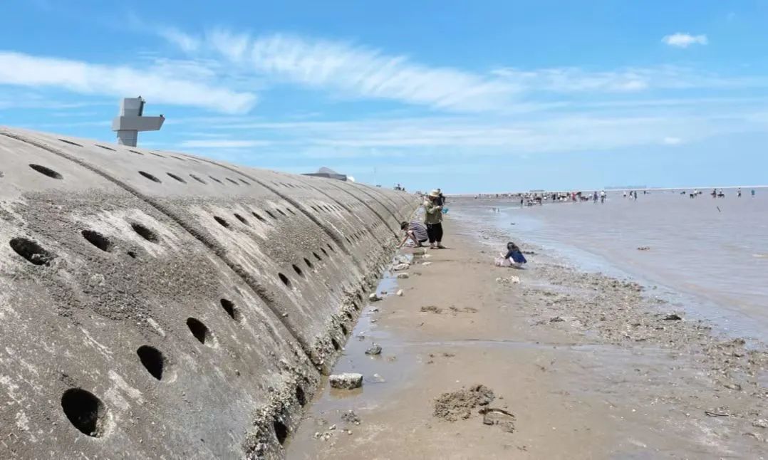 天津遛娃好地方,天津遛娃的免费公园