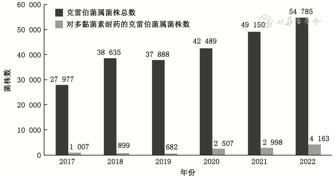 肺炎克雷伯菌治疗指南,耐肺炎克雷伯菌属于哪类