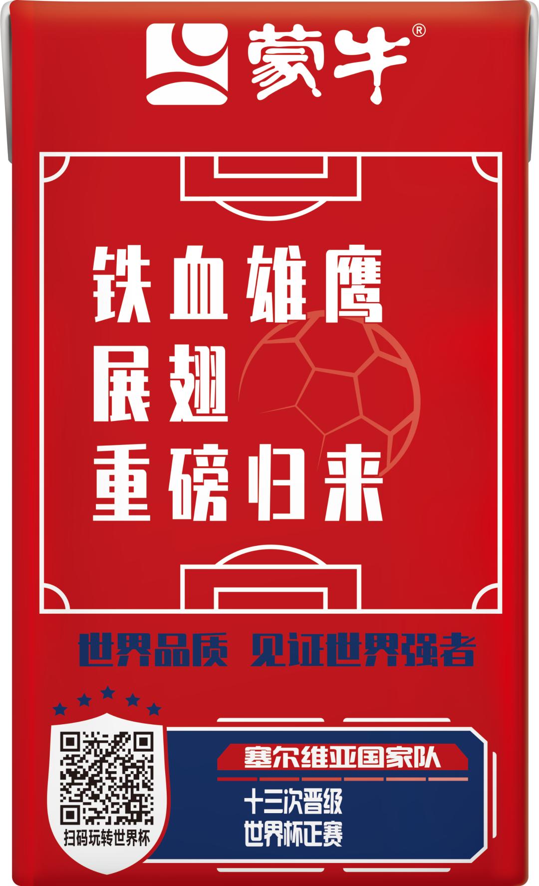 世界杯队长手记,世界杯队长纪录片葡萄牙