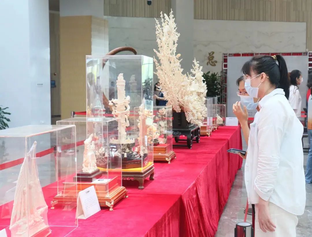 划艇露营,划艇露营视频大全