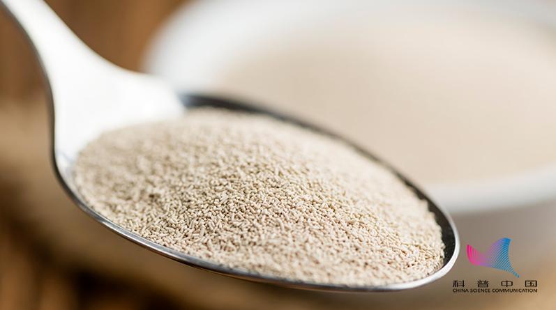 经常吃酵母素有没有什么副作用,经常吃酵母面包对身体有害吗