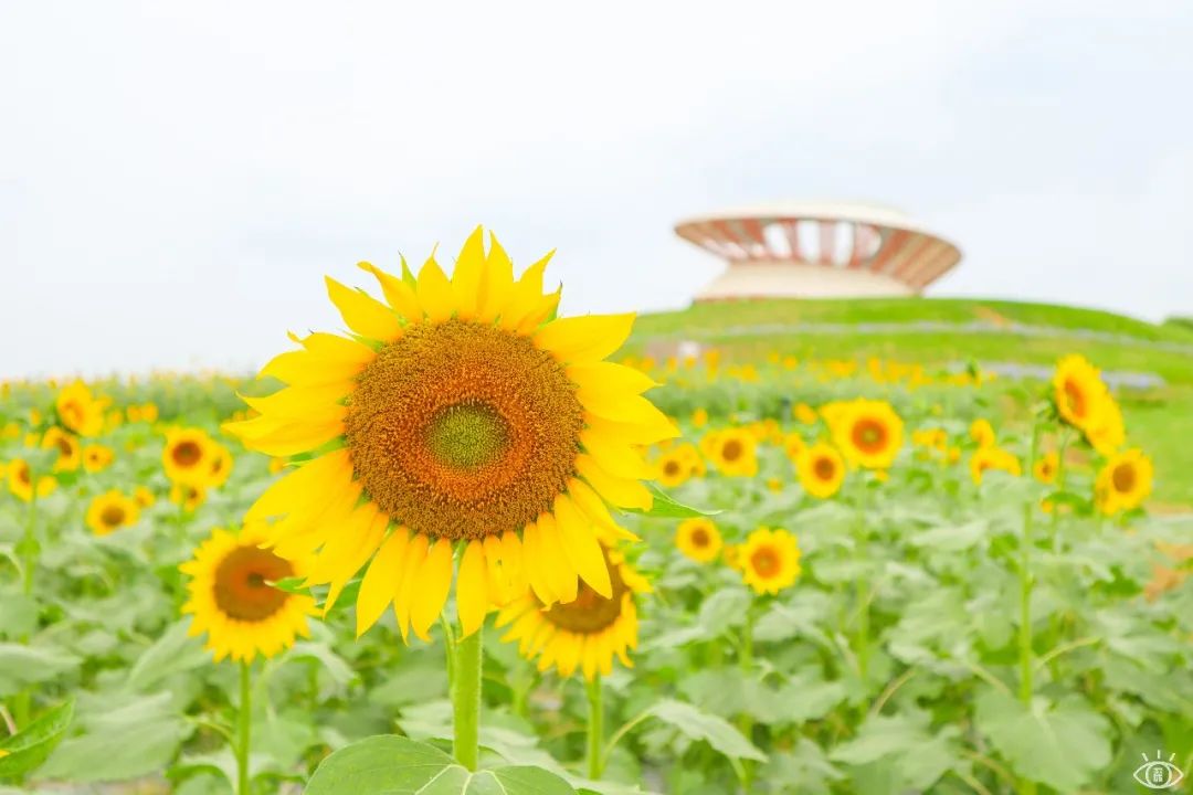 深圳最值得去的十个地方,深圳吃货必去的地方