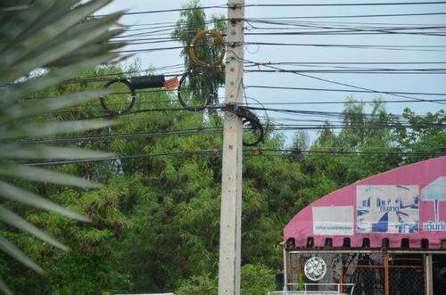 最有钱的泰王室,世界上最富有的泰王