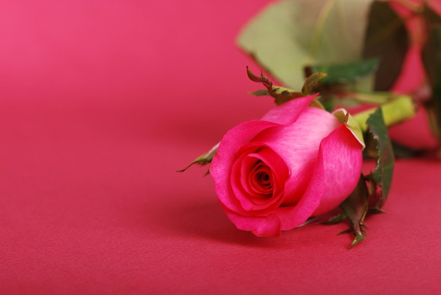 哈佛大学教授教你如何做事,哈佛教授教你学心理学