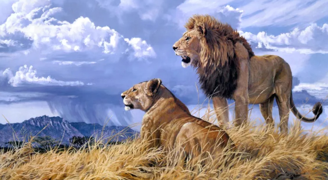 为什么男人高女人低,为什么男高女矮才配