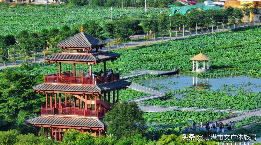 广西研学旅行推荐,2022广西研学旅行方案