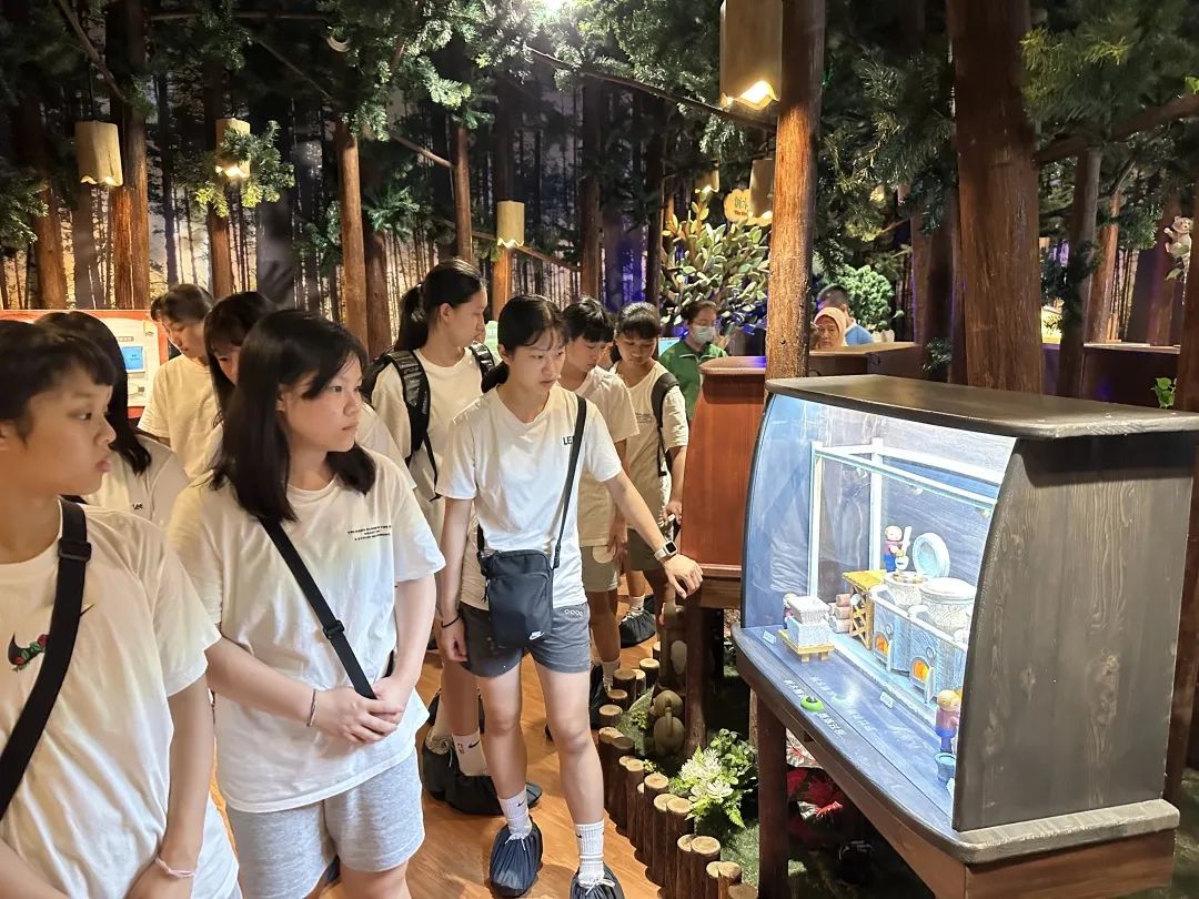 今天，台湾同胞一行23人来东台黄海森林公园