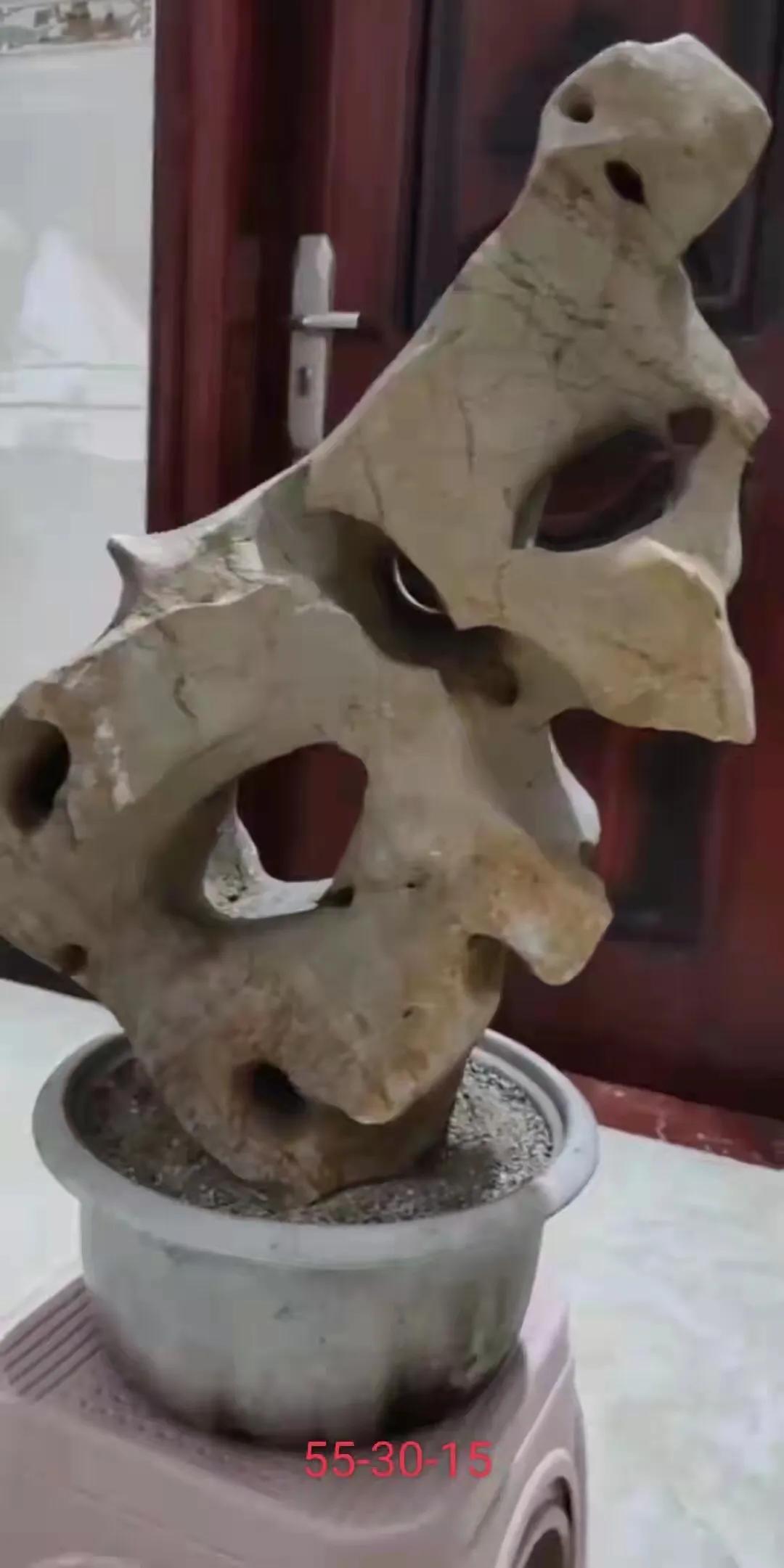 天然太湖石原石小摆件直播,太湖石原石用什么抛光