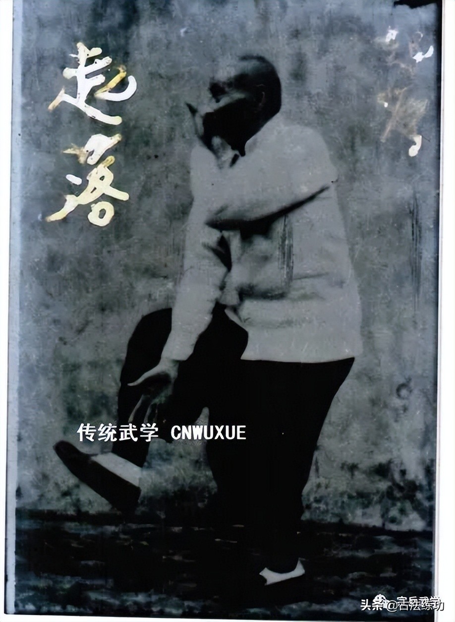 心意拳蛇形,心意拳易筋经