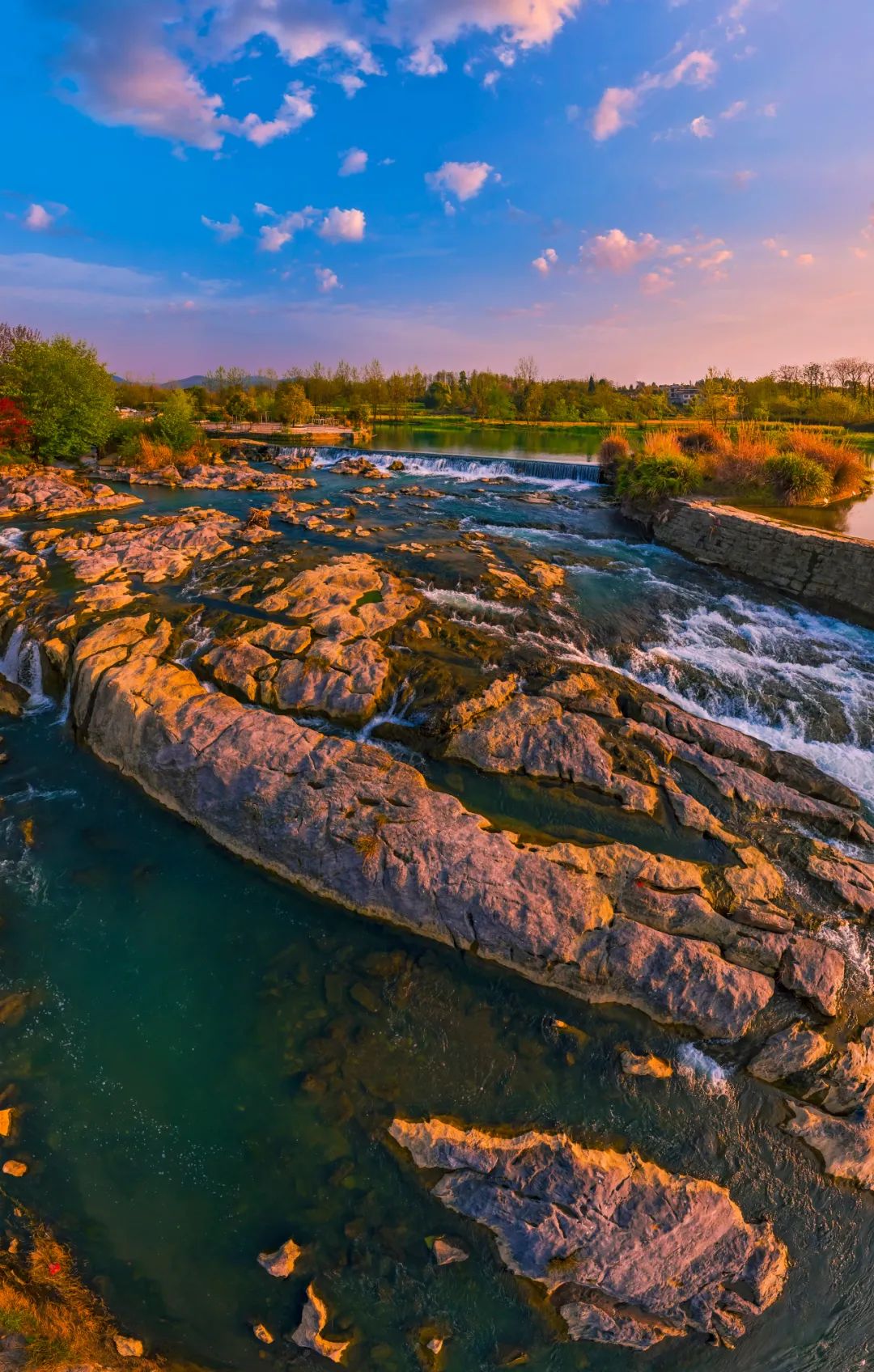 到咸宁看国宝过大年,离家45年的国宝回湖北咸宁过年