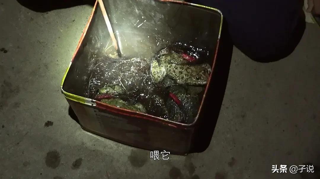 咒的深层解说,东瀛鬼咒牺牲咒解析