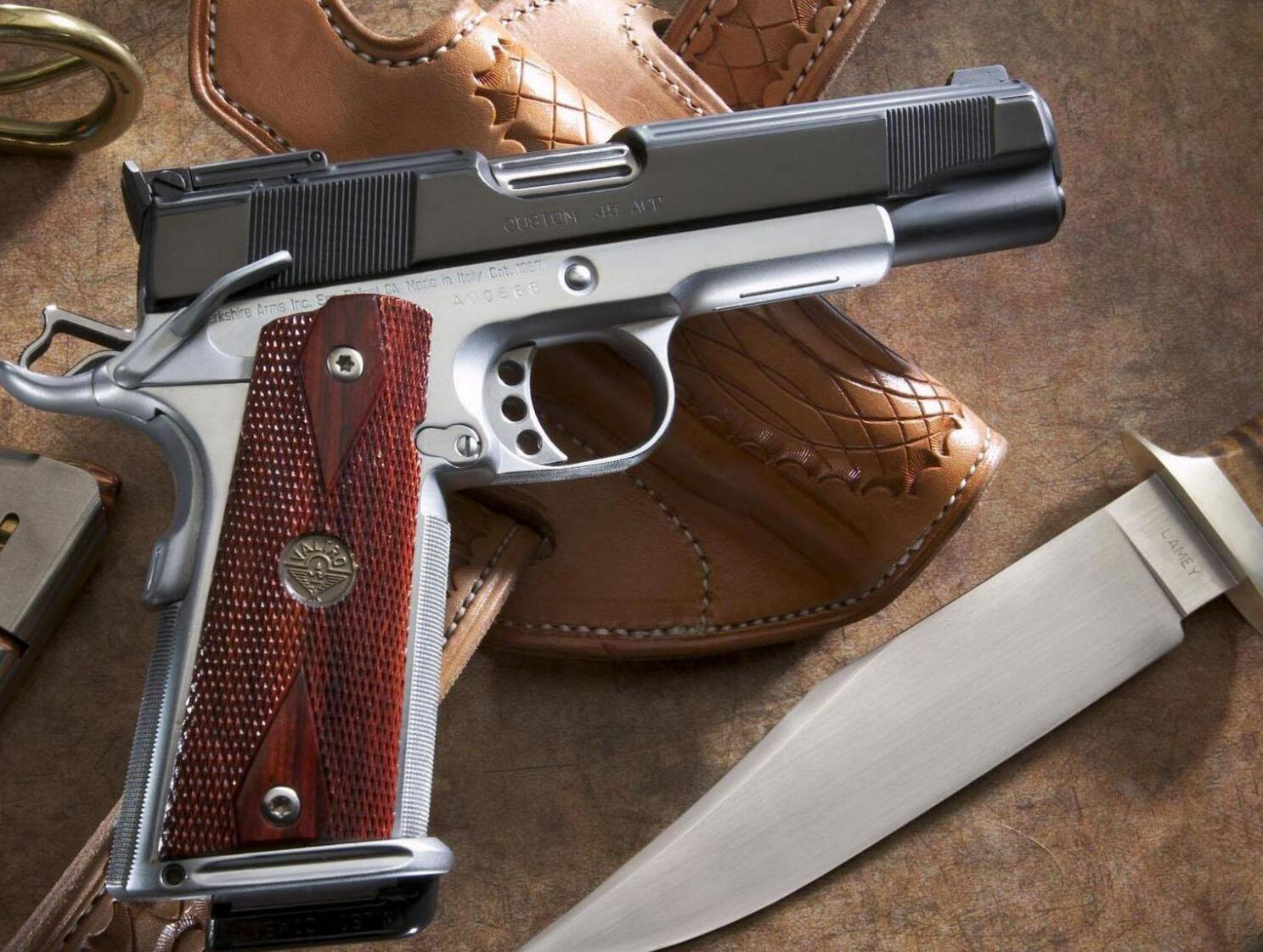 “北极狐”雇佣兵的20种轻*器武**，都是世界最顶尖的枪支