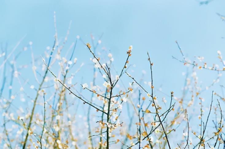 穷人如果想发财必须要做这几件事,如果你现在很穷该怎么办