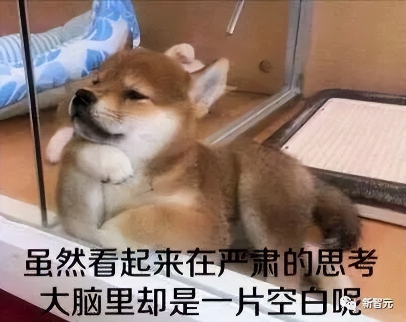 wpsai办公新体验,officeai和wpsai对比