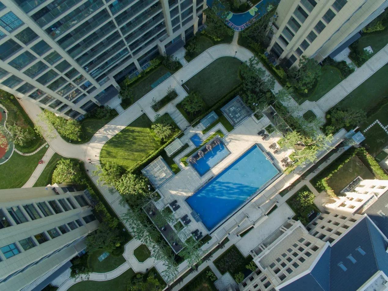 绿城的运动,绿城运动