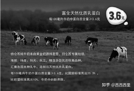 电商文案准备工作,电商文案的写作步骤