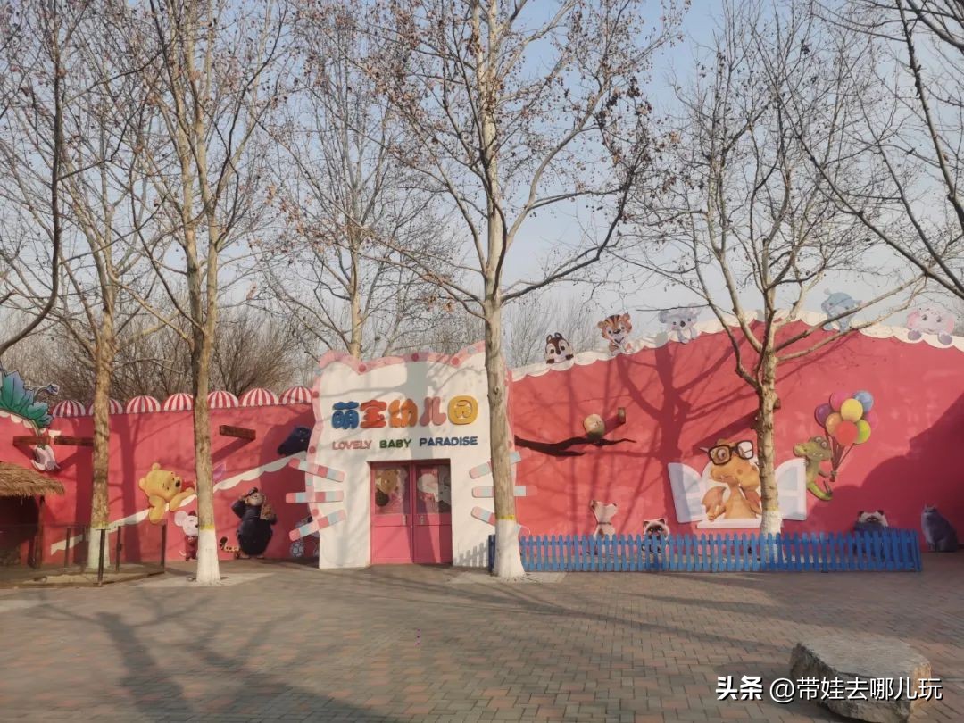 一天玩遍北京野生动物园,包场去鸟巢