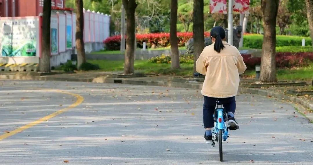 现场办公,现场办公问题