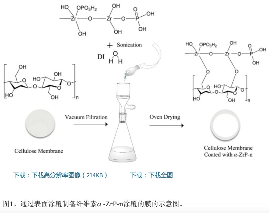 鍚堟垚闃寸瀛愪氦鎹㈣啘,鍚堟垚闃寸瀛愪氦鎹㈣啘瀹為獙杩囩▼