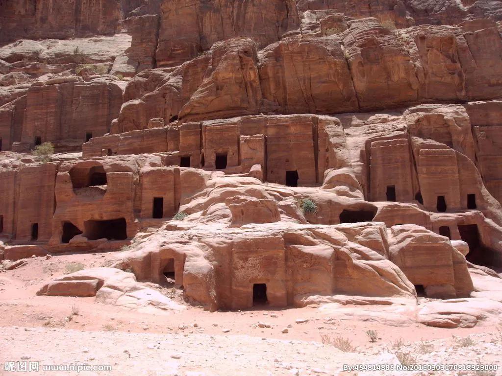 喀什噶尔原唱,喀什噶尔胡杨