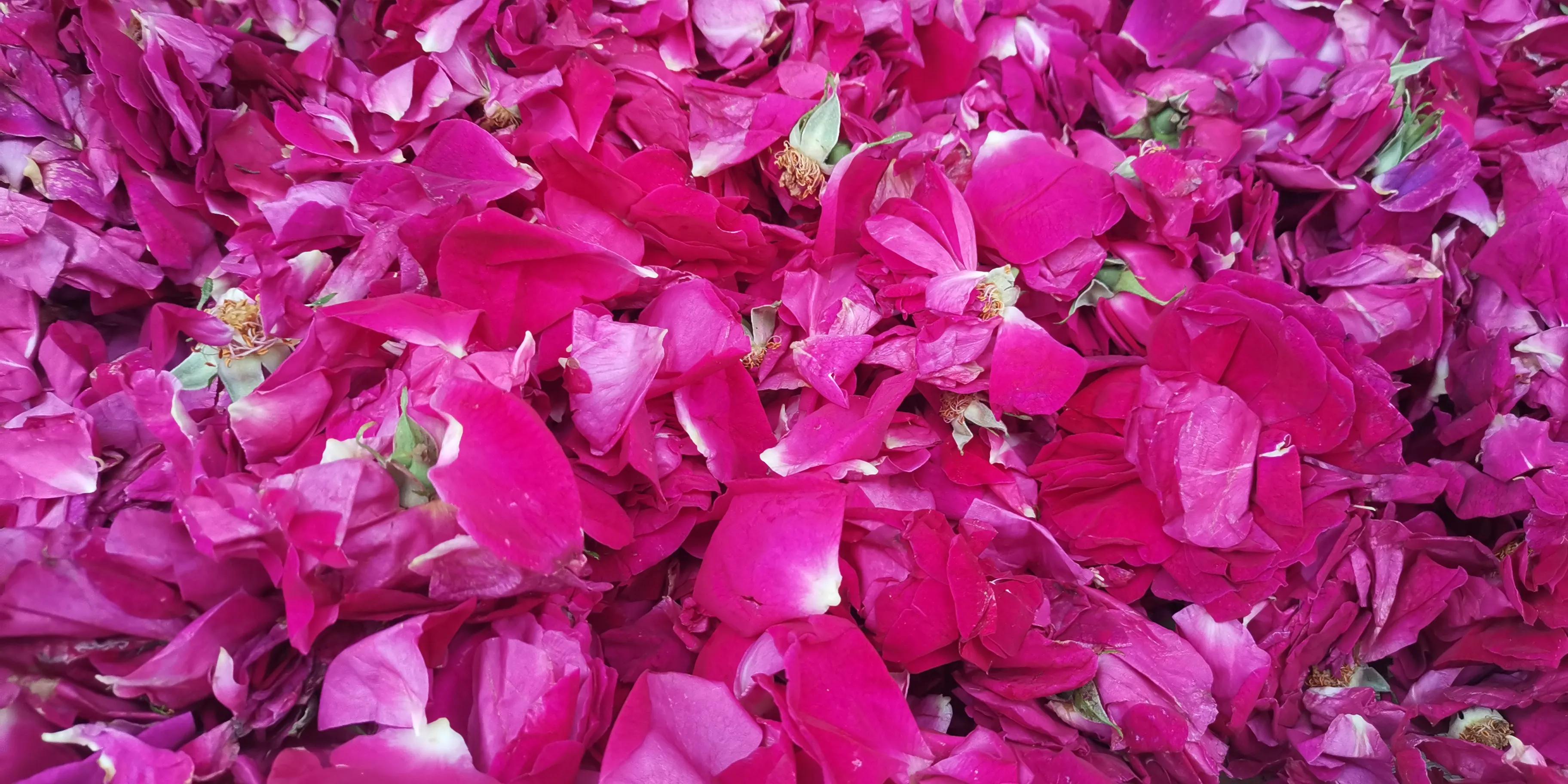 纯手工制作云南鲜花饼,云南正宗鲜花饼的制作过程