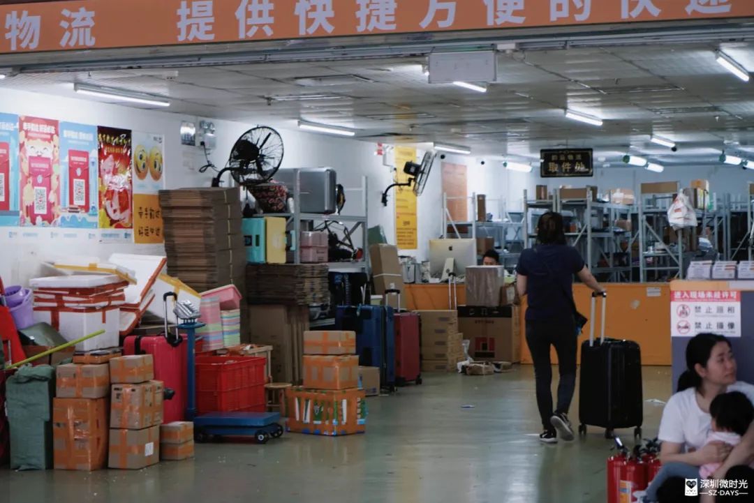 14天，180万人次！香港人来深圳都做了什么?