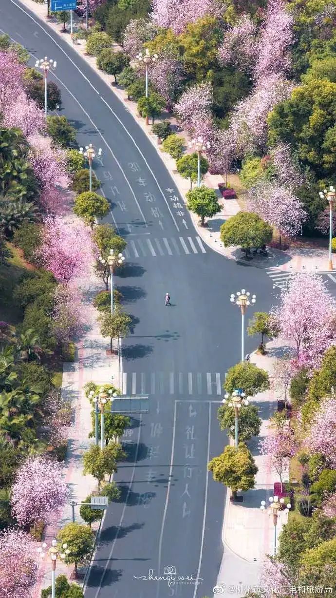 春天，我想到一座城，吃粉粉，看粉粉